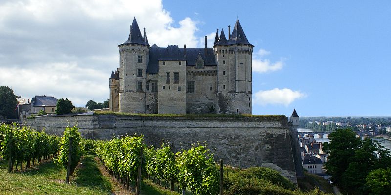 Zamek w Saumur - panorama