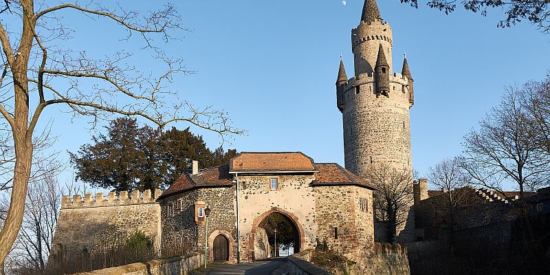 Zamek Friedberg - panorama