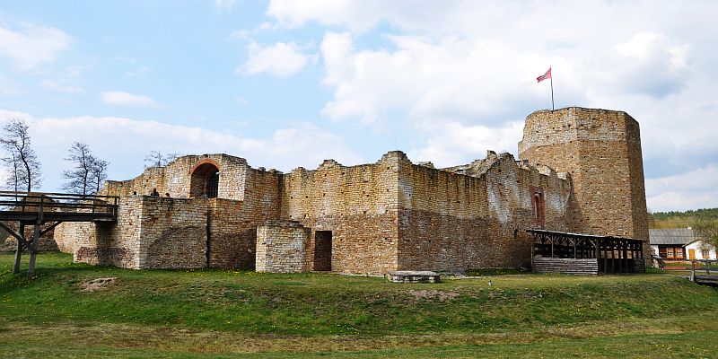 Zamek w Inowłodzu - panorama