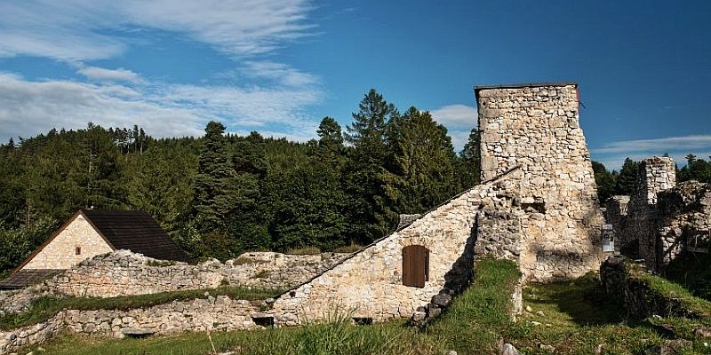 Ruiny klasztoru kartuzów