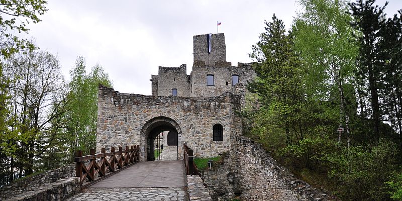 Zamek Strečno - panorama