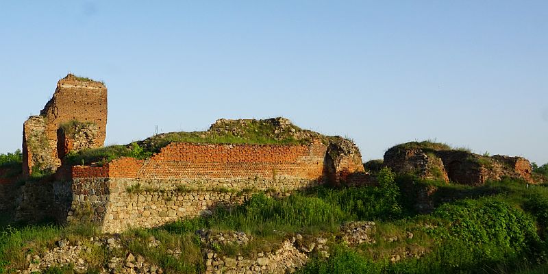 Zamek w Bobrownikach - panorama