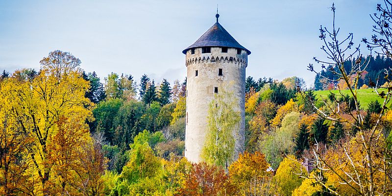 Zamek Wildberg - panorama