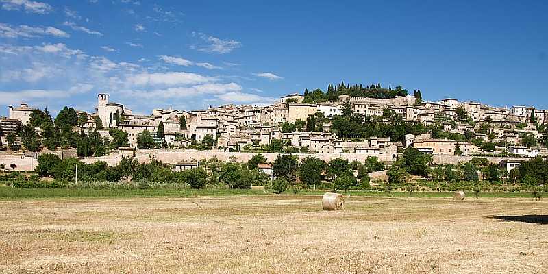 Spello - panorama