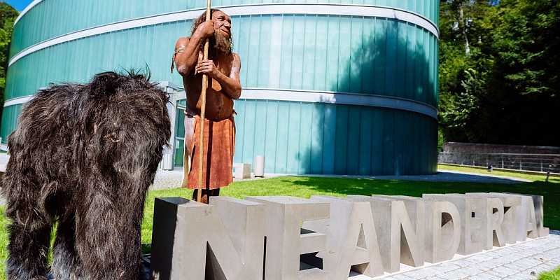 Muzeum Neandertalczyka w Mettmann - panorama