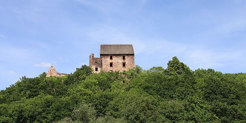 Zamek w Świnach - panorama