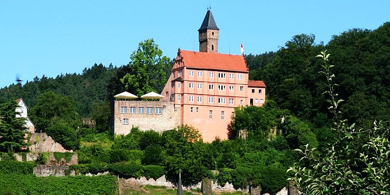 Burg Hirschhorn - panorama