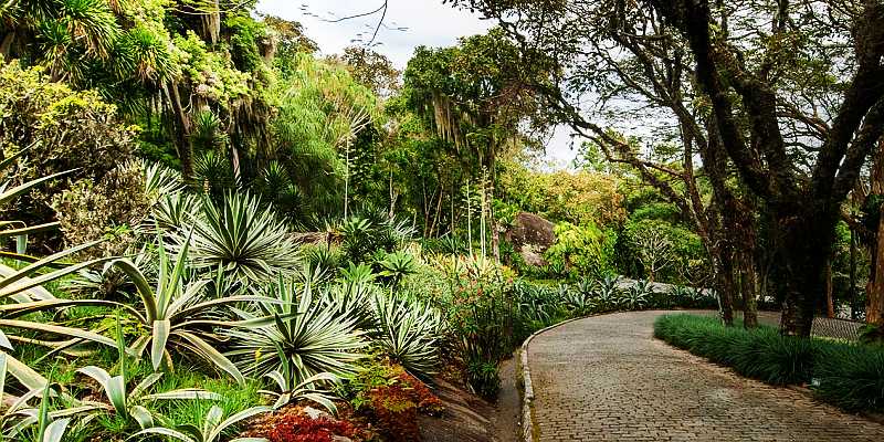 Sítio Roberto Burle Marx - panorama