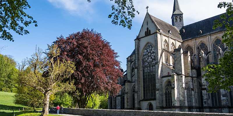 Katedra w Altenbergu - panorama