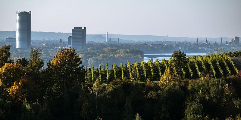 Bonn - panorama