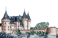 Zamek w Sully-Sur-Loire