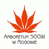 Arboretum SGGW w Rogowie