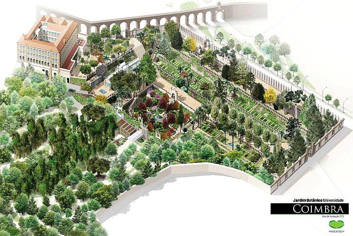 Ogród Botaniczny w Coimbrze - Plan